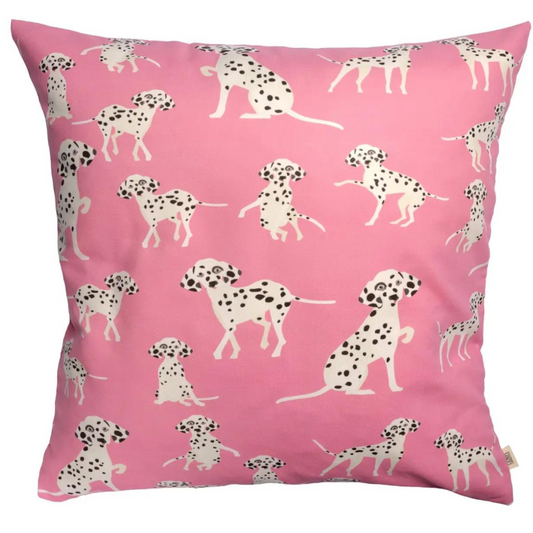 Tyynynpäällinen Dalmatialainen